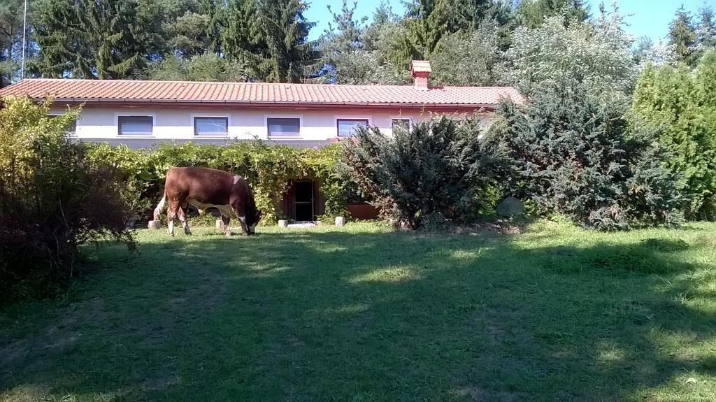 Orsegi Patakparti Alpaka Panzio Bed & Breakfast Kisrakos Exterior photo