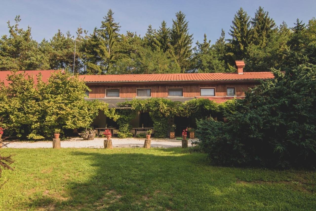 Orsegi Patakparti Alpaka Panzio Bed & Breakfast Kisrakos Exterior photo